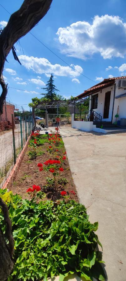 Stella House Villa Theologos  Exterior photo